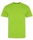 Electric Green