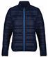 Navy/French Blue