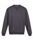 Seal Grey