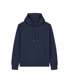 French Navy